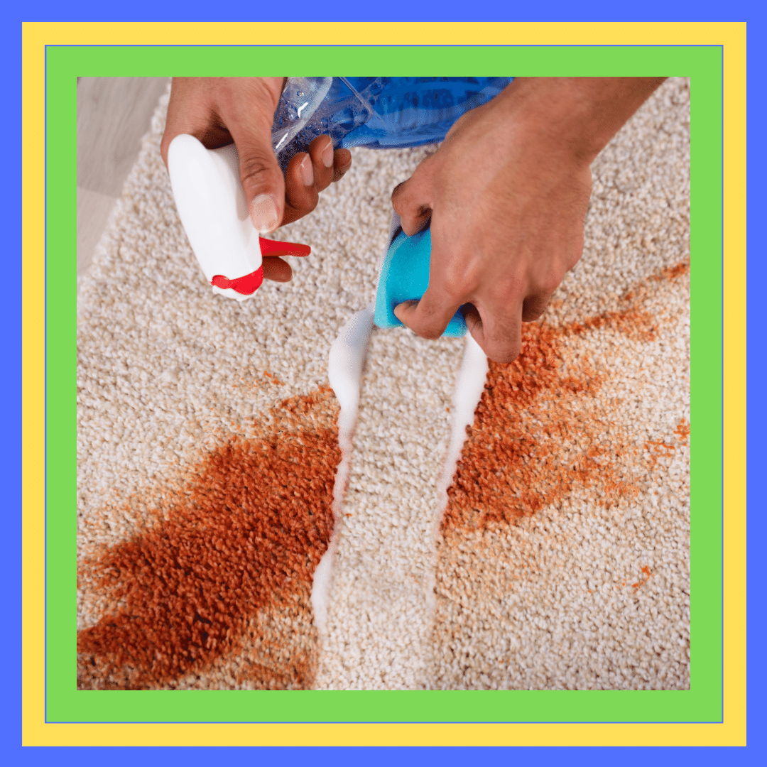 Carpet Stain Removal Toowong